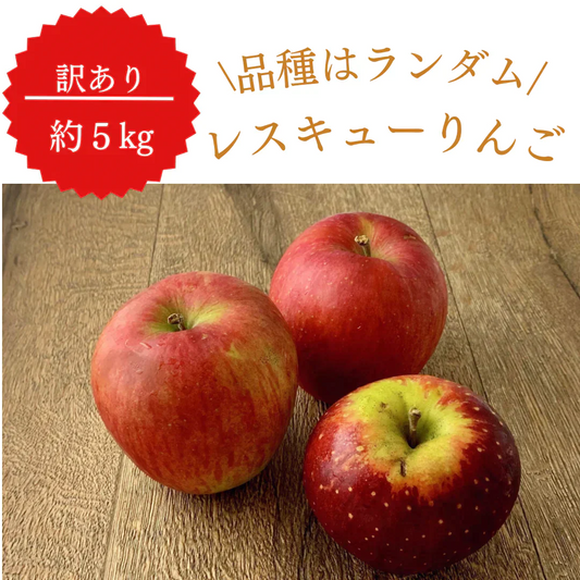 訳ありレスキューりんご 約5kg 長野県産 家庭用  品種混合 果物 フルーツ【順次出荷】