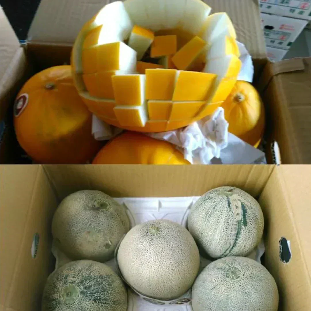 メロン 訳あり 約4kg (2～8玉) 品種おまかせ (アンデス・タカミ・肥後グリーン・クインシー・レノン・ホームラン・イエローキングなど) 熊本産
