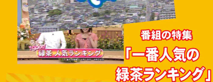 【2個セット】日本橋いなば園 静岡深蒸し茶 荒茶づくり 100g ネコポス メール便送料無料