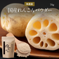 れんこんパウダー 国産 70g 無農薬 粉末 レンコンパウダー ポリフェノール レシピ 離乳食 ヨーグルト スイーツ 食物繊維 タンニン れんこん 蓮根パウダー 野菜パウダー レンコン粉 熊本県産 化学肥料不使用 送料無料