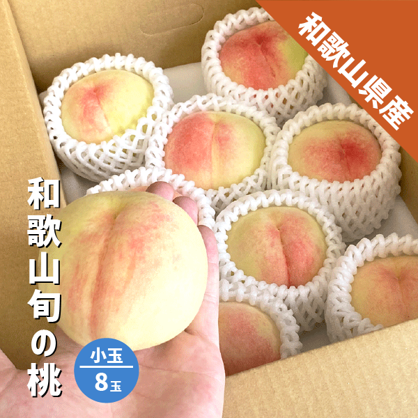 和歌山県産 旬の桃 小玉 8玉 あら川の桃 数量限定 白鳳 川中島 清水 白桃 白鳳系 白桃系 桃 家庭用