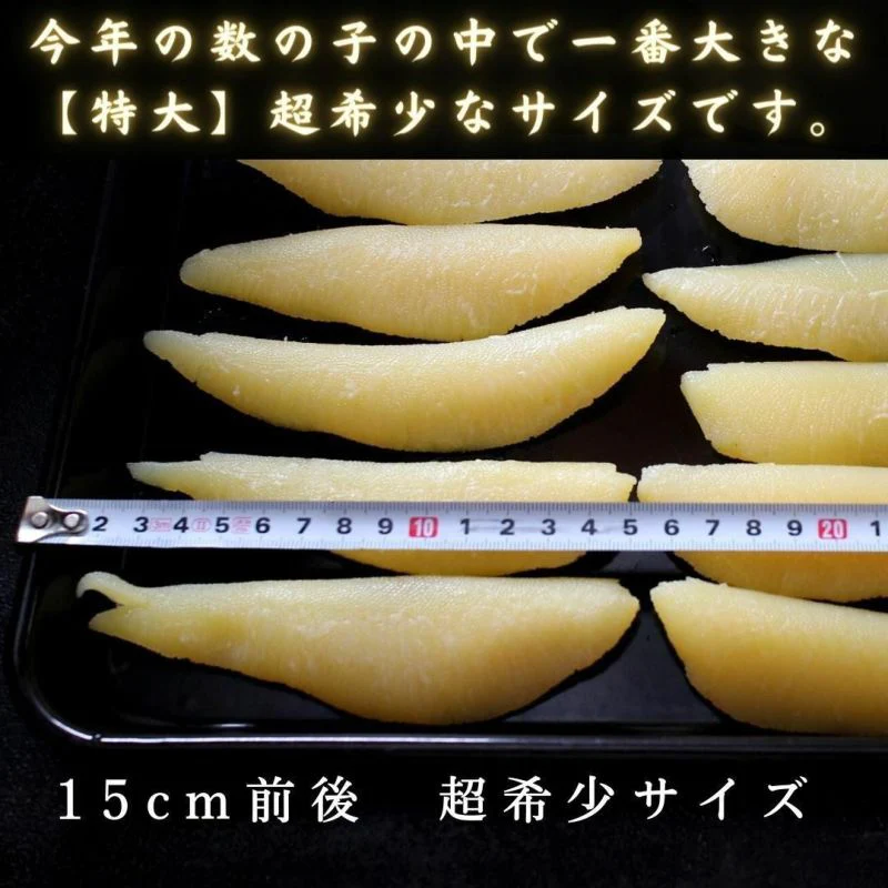 500g 1本物 天然 塩数の子 アラスカ産 特大サイズ