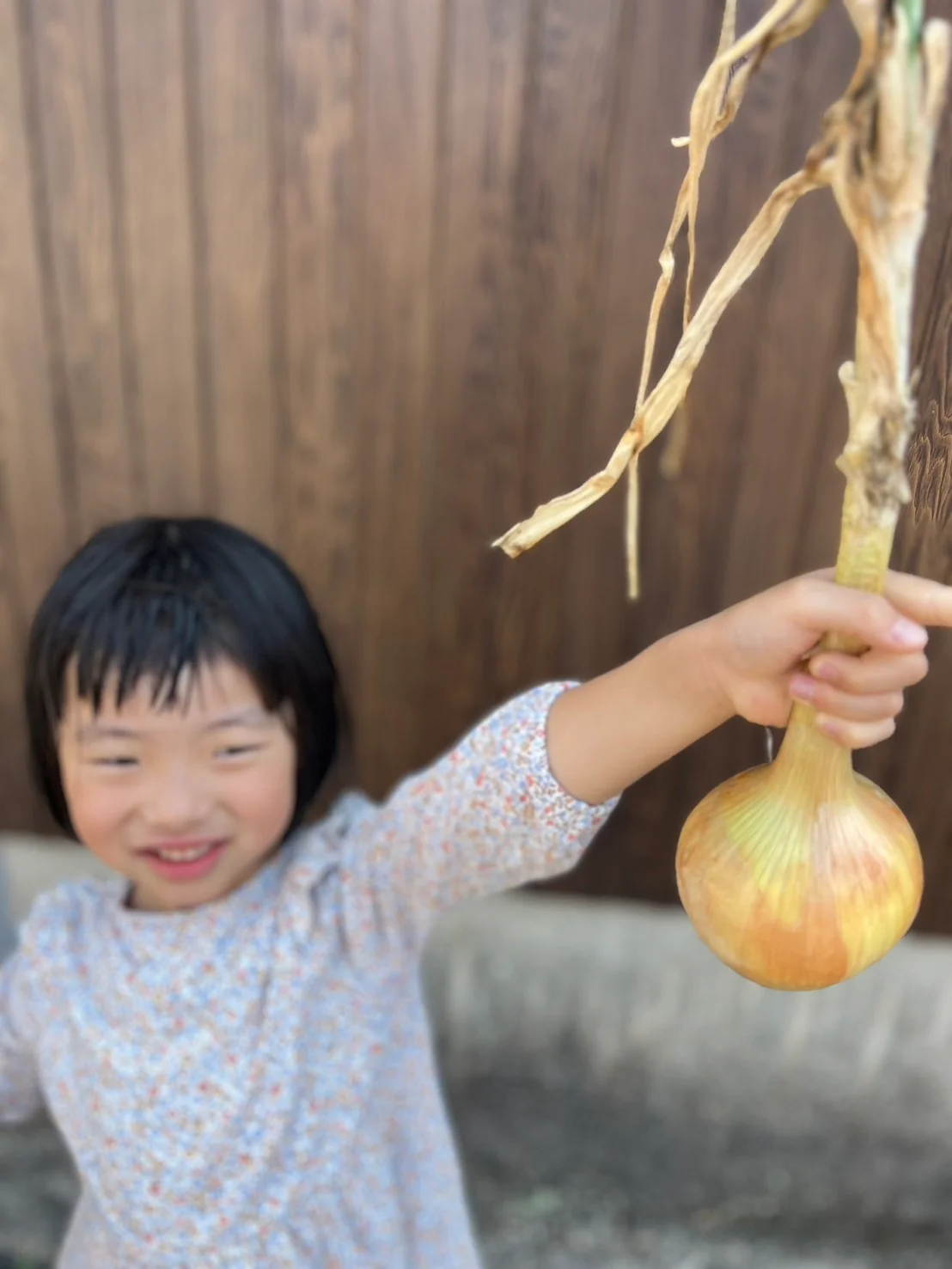 大玉のみ！！玉ねぎ 3kg  たまねぎ 玉葱 タマネギ  3キロ　【大阪府産】