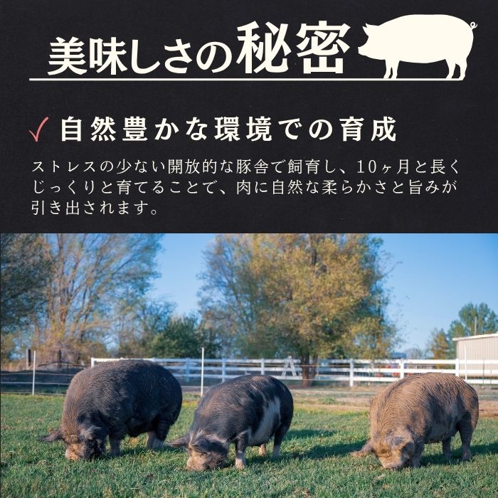 静岡県産 高級黒豚 焼肉用肩ローススライス（500g×2パック）