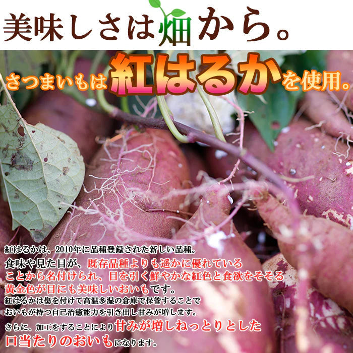 訳あり 国産干し芋200g×1袋/静岡/鹿児島産 紅はるか 使用!!/ネコポス【エコ得】