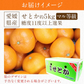 せとか みかん 5kg 愛媛県産 柑橘の大トロ kdm-090