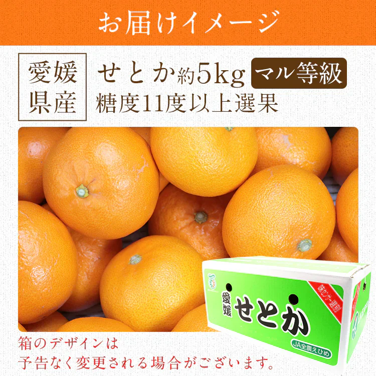 せとか みかん 5kg 愛媛県産 柑橘の大トロ kdm-090