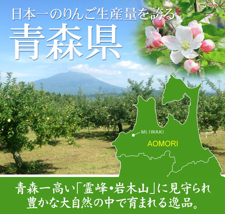 特選 青りんご 10kg 品種おまかせ  青森産 ご家庭用【10月上旬発送】