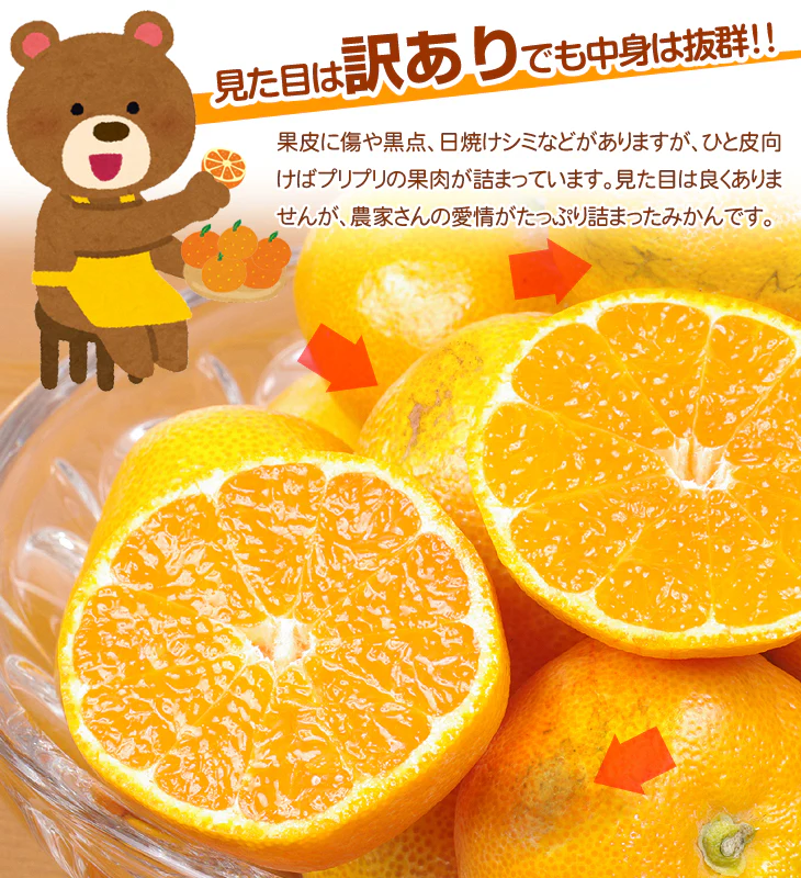みかん　熊本産　おいしいみかん　5kg　サイズおまかせ　ご家庭用（発送予定：11月中旬より）