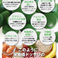 【大容量★約6ヶ月分】healthylife スピルリナタブレット 海外のモデルやセレブにも大人気！今超話題のスーパーフードサプリのスピルリナ粒 スピルリナ spirulina サプリ サプリメント 女性 スピルリナタブレット 粒 おすすめ 人気 ランキング 効果 強力 最強 通販 日本製 国産 健康サプリ 健康食品