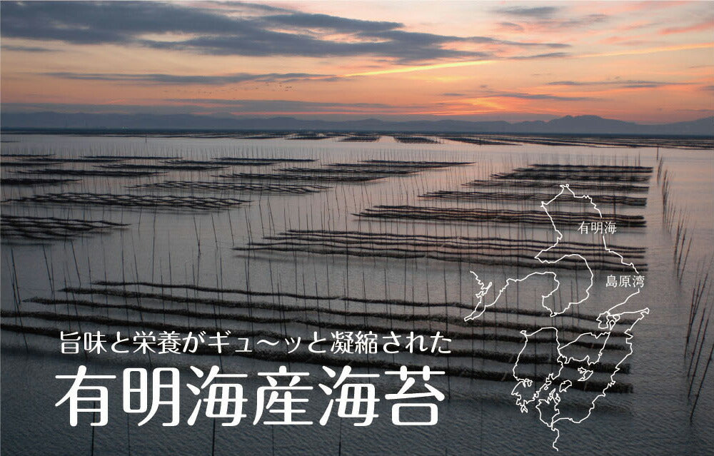 日本橋いなば園 有明海産 きざみ海苔 40g ネコポス メール便送料無料 刻み海苔 ギフト きざみ海苔 きざみのり 寿司 弁当 トッピング 食品 乾物 茶匠庵 葉酸 タウリン