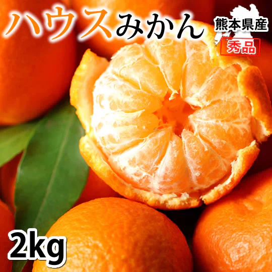 みかん ハウスみかん 送料無料 2kg 熊本県産 蜜柑 ミカン 温室みかん ギフト 贈答 御中元 フルーツ