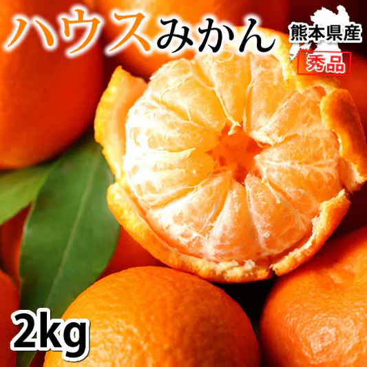 みかん ハウスみかん 送料無料 2kg 熊本県産 蜜柑 ミカン 温室みかん ギフト 贈答 御中元 フルーツ