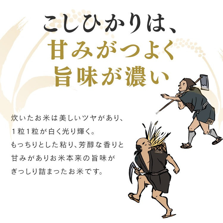 【カートアップNG】【ご新規さんとシェア買い】アイリスオーヤマ 低温製法米 新潟県魚沼産 こしひかり チャック付き 2kg
