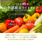 小麦粉不使用 ソイキューブ(4種ミックス) 【2袋】(100g×2袋) SOYCUBE 大豆菓子 おから グルテンフリー 小低GI 低糖質 糖質制限 小腹サポート 食物繊維