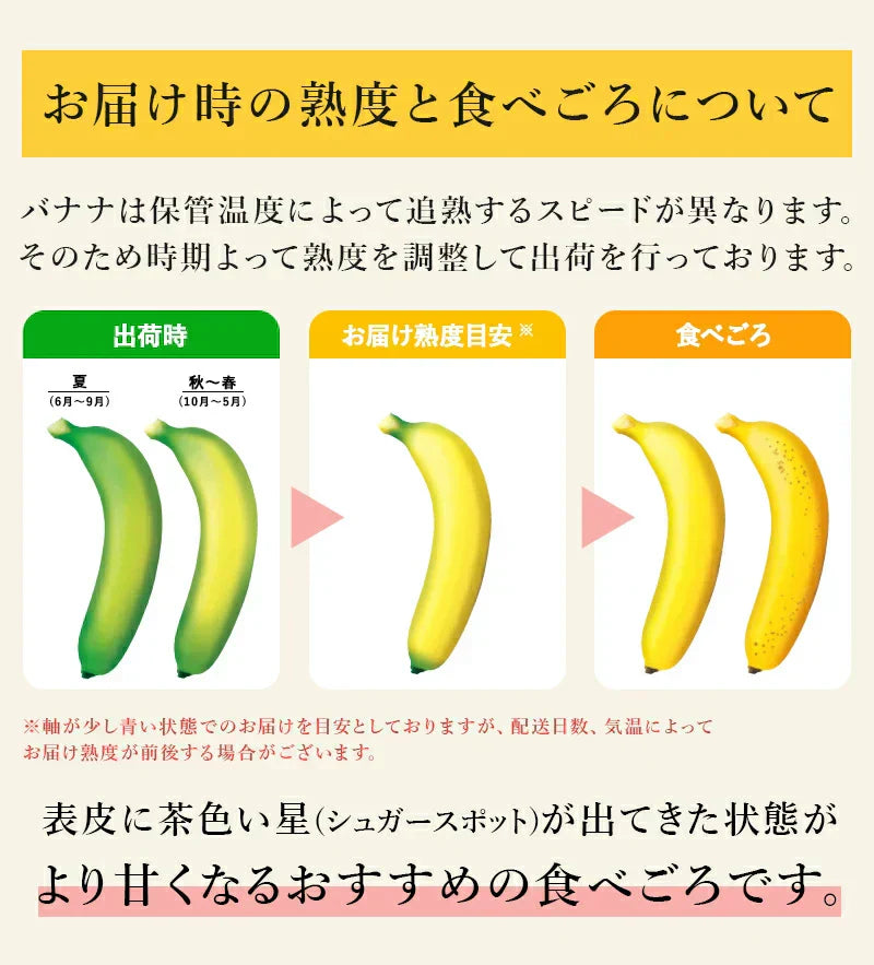 【バナナの王様！】完熟王 バナナ 15kg (約80-90本) ※14kg +1kg保証分 朝食 おやつ