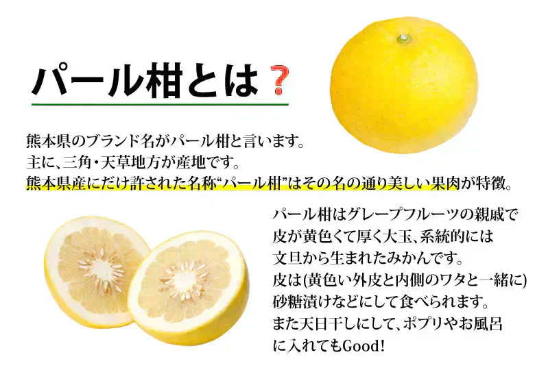 パール柑 10kg 箱込 (内容量9kg+不良果補償分500g) 文旦 みかん 送料無料 訳あり 無選別サイズ混合 熊本県産 グレープフルーツ 蜜柑