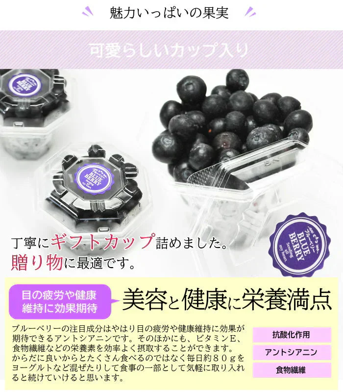 冷凍ブルーベリー（100g×2個）＆まるごと柿シャーベット6個詰合せ　冷凍フルーツのギフトセット