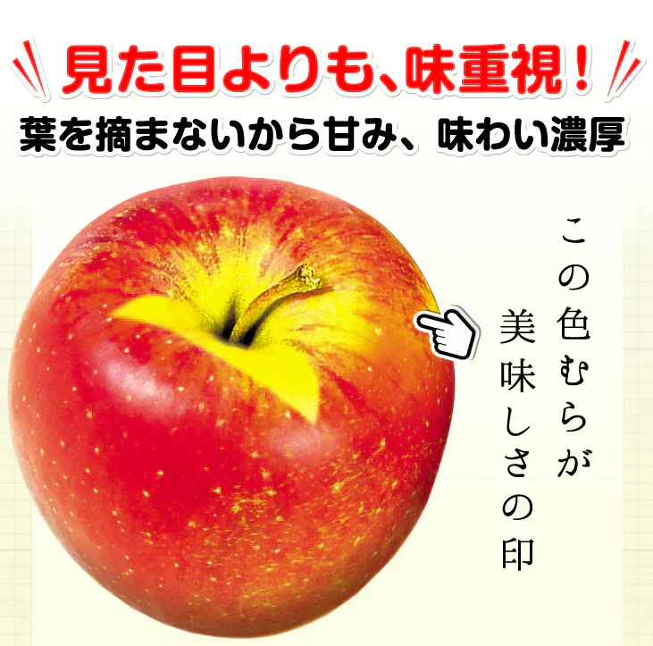 りんご 5kg 葉とらずふじ 青森産 ご家庭用【2025年1月より発送】