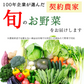 野菜 おまかせ 15種類 詰め合わせ　送料無料