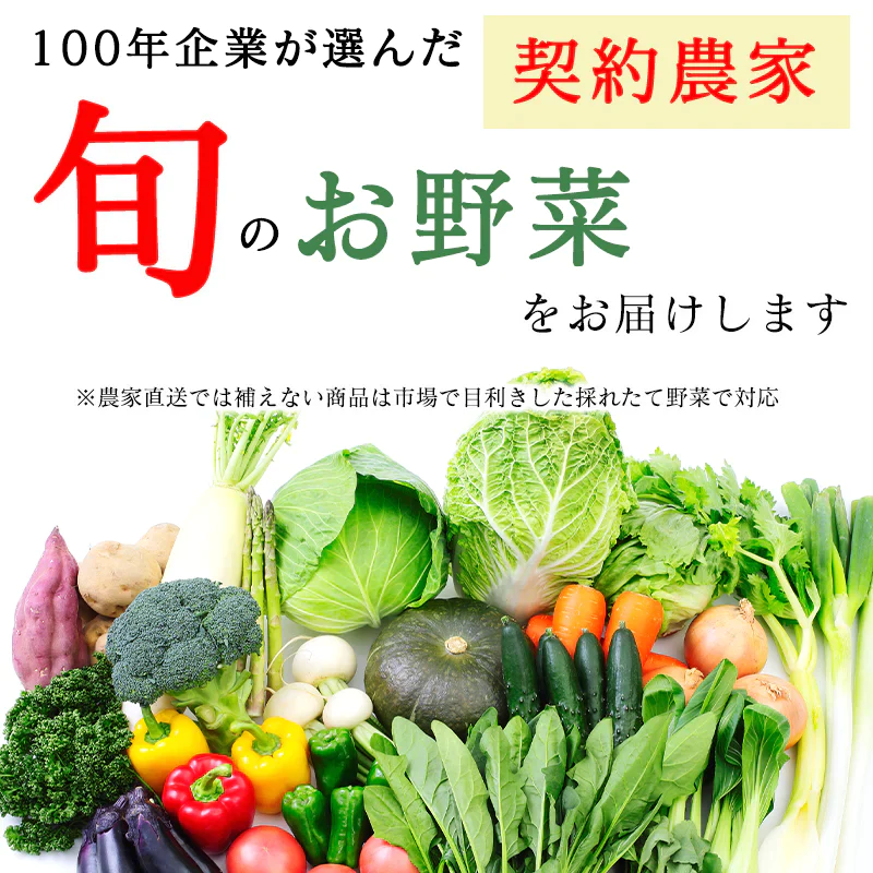 野菜 おまかせ 15種類 詰め合わせ　送料無料