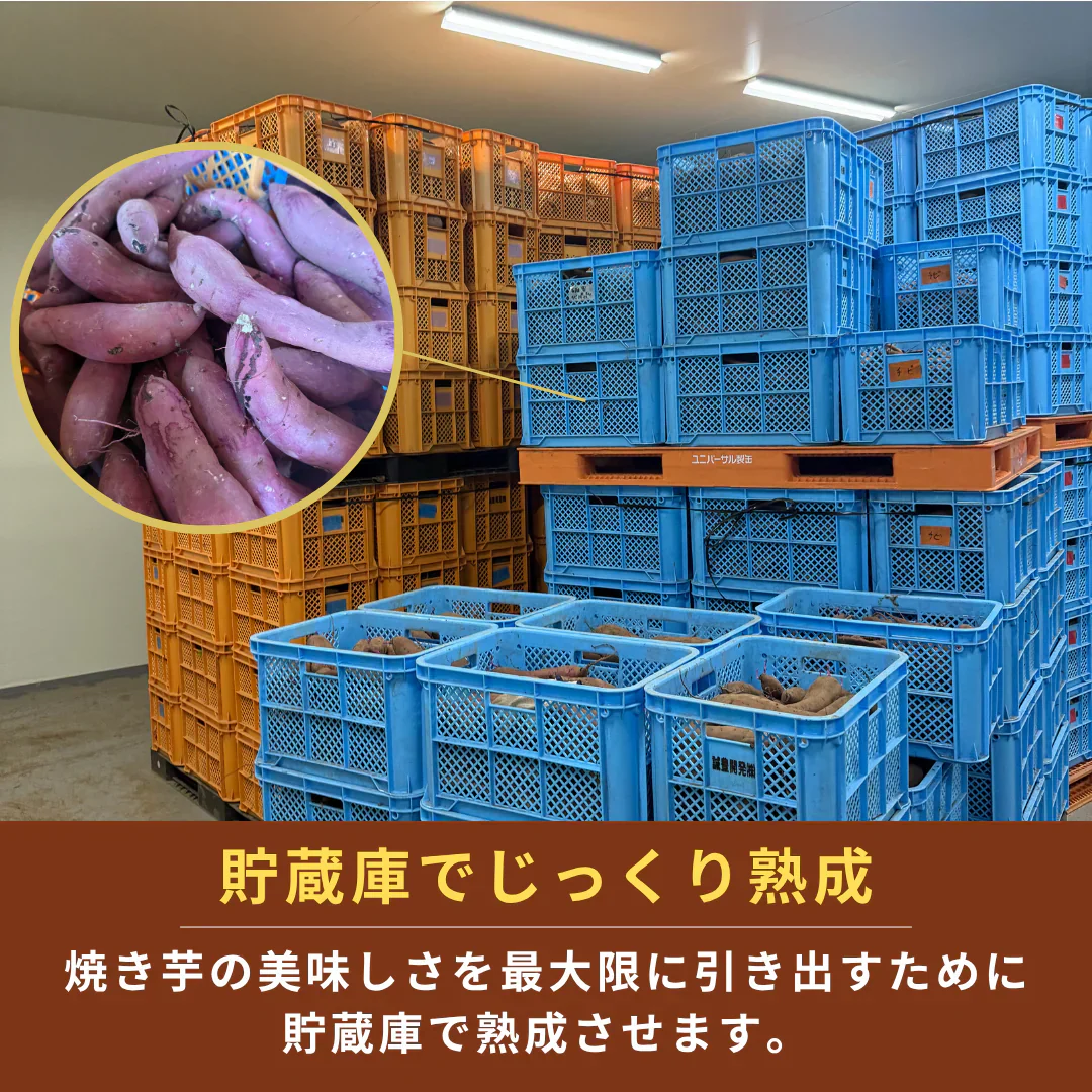 【自然の甘みそのまま】国産 無添加 焼き芋 1kg(1kg×1p) 冷凍 月間販売数 3000袋突破！ 果物 青果 芋 いも さつまいも サツマイモ 野菜 焼芋 農家 訳あり 干し芋 好きに 冷凍 グルメ 紅はるか シルクスイート スイーツ 市場 おやつ お菓子 ダイエット クール便 贈答 お中元 ギフト