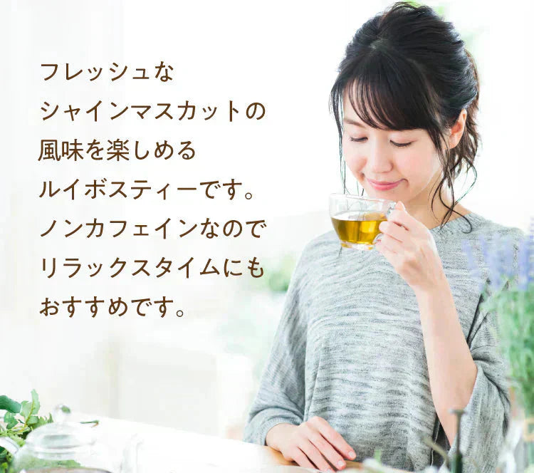 ★水出しOK★アレンジルイボスティー　シャインマスカット　カップ用３０個入（グリーンルイボスティー ティーバッグ ノンカフェイン ハーブティー）【ご新規さん限定商品】