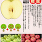 10月9日～発送！青森県産 りんご トキ 5kg箱 家庭用/訳あり ★トキ 家訳 5kg箱