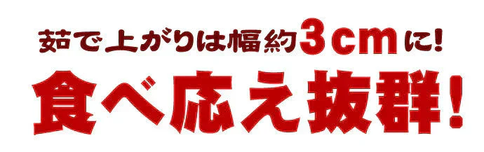 本場讃岐うどん 超平打ち麺 400g×2袋 合計800g小分け で便利！