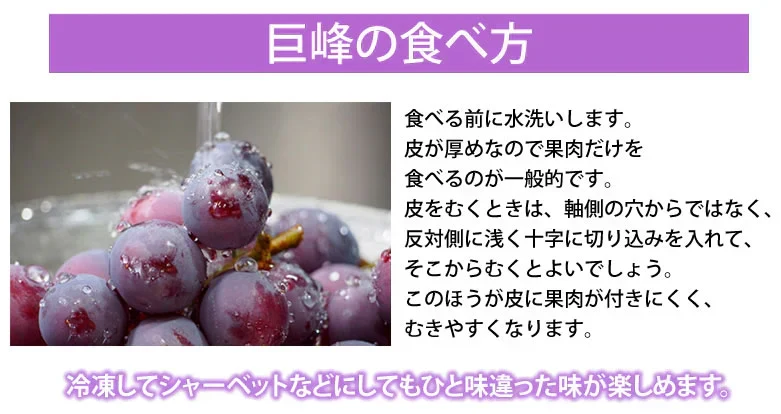 ぶどう 巨峰 約1.2kg（約300g×4パック） 福岡・熊本県産 〈クール便でお届け〉きょほう 葡萄 黒ぶどう 藤稔 ピオーネ