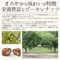 ピーカンナッツ チョコレート 100g（1袋） キャラメル ピーカンナッツチョコ ココア ナッツ チョコ バレンタイン スイーツ お菓子 贈り物 美味しいもの ［送料無料］ ギフト プレゼント ※ポスト投函商品の発送は1～2週間前後になります