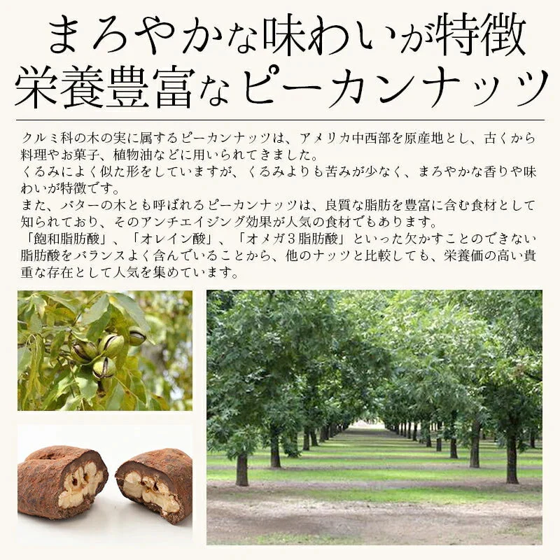 ピーカンナッツ チョコレート 100g（1袋） キャラメル ピーカンナッツチョコ ココア ナッツ チョコ バレンタイン スイーツ お菓子 贈り物 美味しいもの ［送料無料］ ギフト プレゼント ※ポスト投函商品の発送は1～2週間前後になります