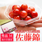 【遅れてゴメン母の日ギフト順次発送】さくらんぼ佐藤錦Ｍ玉ダイヤパック詰め100g2個詰めカーネーション1本と母の日カード付き山形県より直送