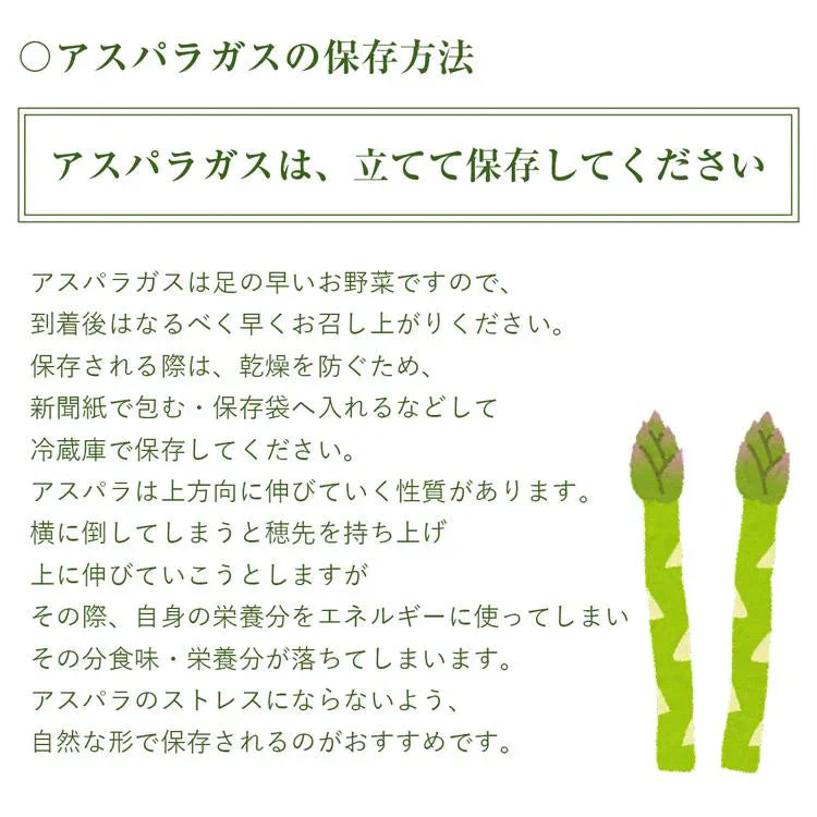 ホワイトアスパラガス 北海道 朝採れ 1kg 食べ比べ ホワイトアスパラ 500g グリーンアスパラ 500g 羊蹄山 産地直送 冷蔵便 同梱不可 指定日不可 産直