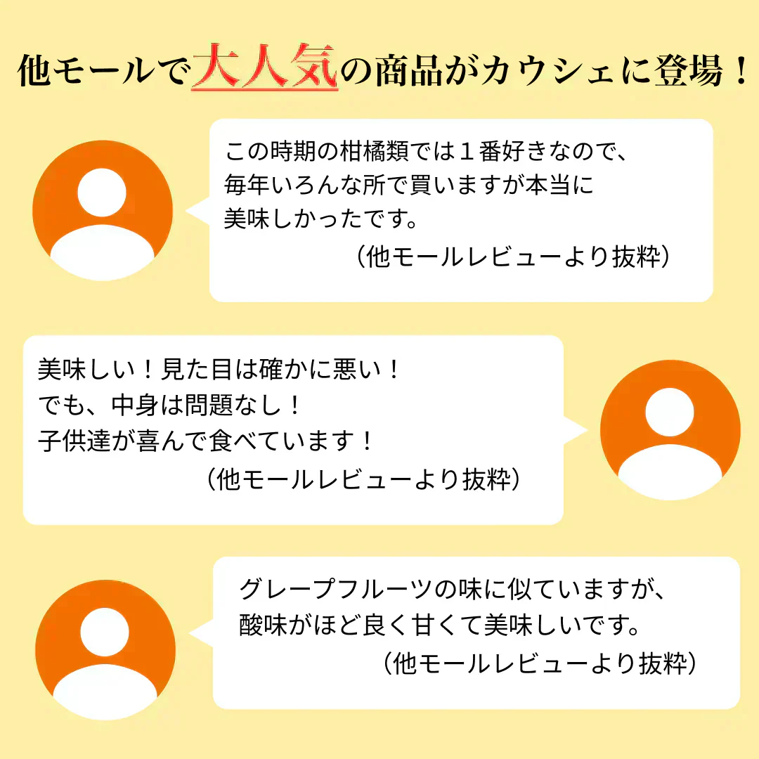 河内晩柑 みかん 送料無料 訳あり 10kg 箱込 (内容量9kg+不良果補償分500g) S～3L 和製グレープフルーツ お取り寄せ 晩柑 熊本県産 美生柑 フルーツ