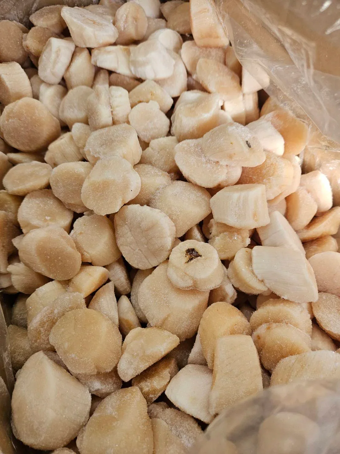 【訳あり】北海道産 ホタテ貝柱700g お刺身 訳あり
