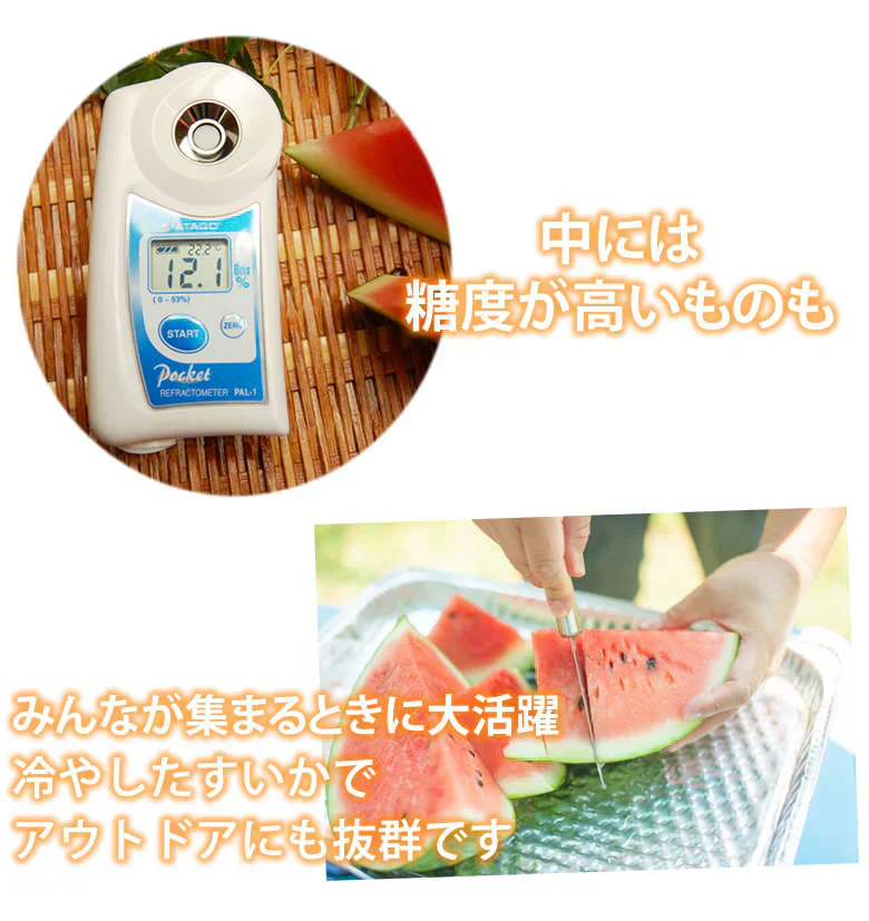 スイカ すいか 送料無料 熊本すいか 秀品 1玉 約3.5kg～5kg 熊本県産 西瓜 フルーツ