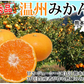 みかん 5kg 送料無料 温州みかん 秀品 熊本県産 蜜柑 ミカン