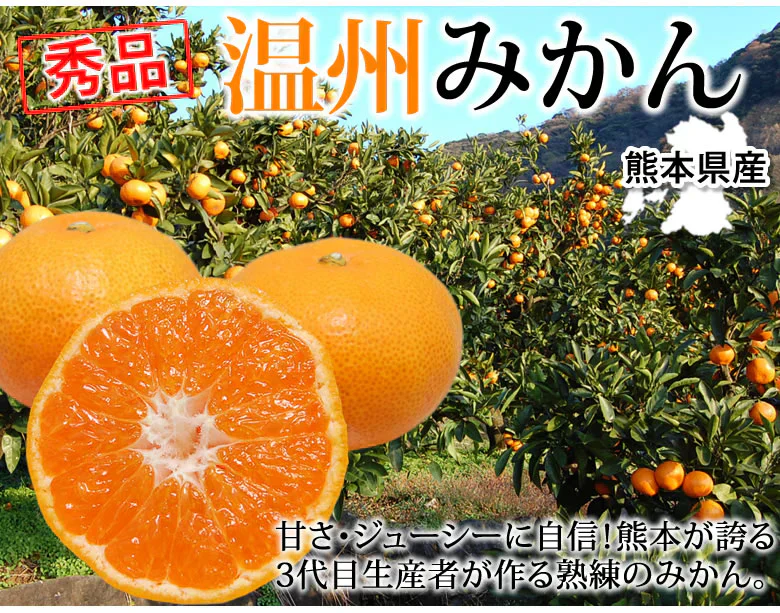 みかん 5kg 送料無料 温州みかん 秀品 熊本県産 蜜柑 ミカン