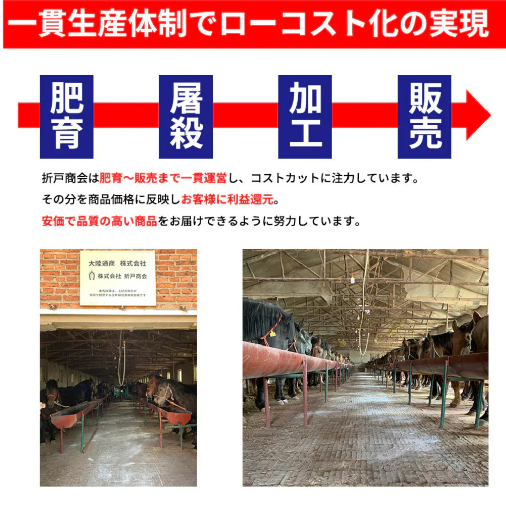 【馬肉】馬刺し （赤身） 10人前 500g（不定貫） 馬刺し 馬肉 赤身 刺身