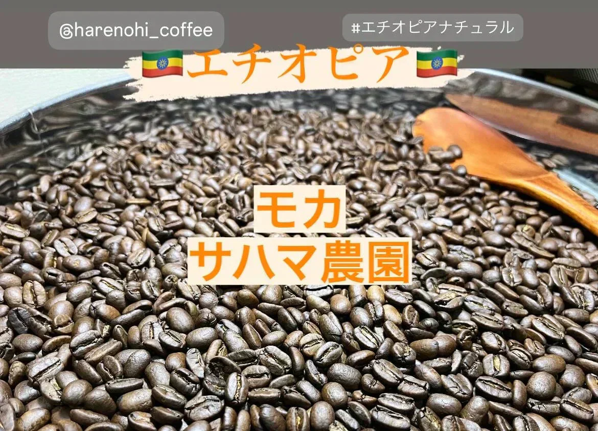 【お試し】スペシャルティコーヒー「モカ（サハマ農園）」🇪🇹 50g 豆 送料無料【カウシェファーム収穫対象商品】