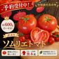 予約【2027年2月前後～4月30日までに順次発送】＼特別栽培農産物／訳ありソムリエトマト　600g（最低保証容量400g以上保証）【カウシェファーム収穫対象商品】