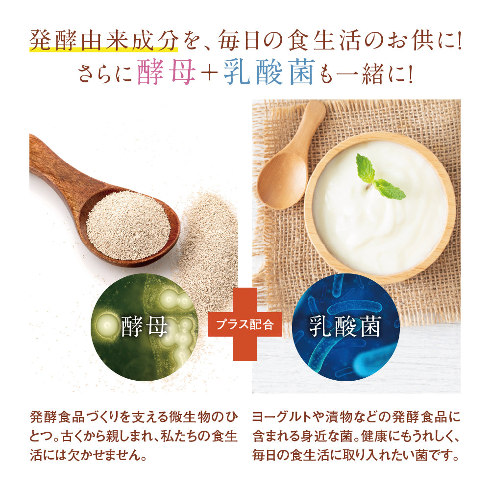コンブチャ《約3ヶ月分》ダイエット サプリ サプリメント 美容 健康 酵素 乳酸菌  紅茶キノコ 酵母 ビタミンD 葉酸 ビタミンC ビタミンB 大豆ペプチド コンブ【大容量】【ご新規さん限定商品】