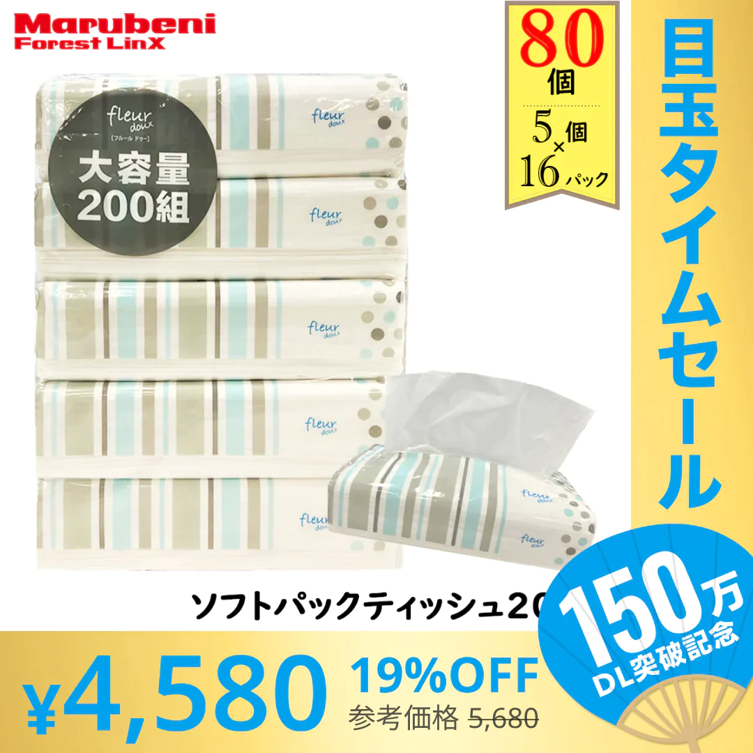【超シェア買い祭】【57.3円/パック】＼大容量ティッシュ／［400枚（200組）5個×16パック(80個)入り ］ティッシュペーパー ソフトパックティッシュ200W 青色パッケージ フルールドゥ 送料無料