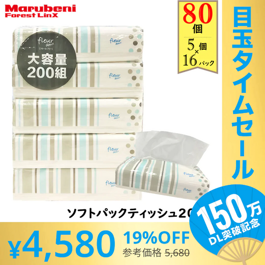 【超シェア買い祭】【57.3円/パック】＼大容量ティッシュ／［400枚（200組）5個×16パック(80個)入り ］ティッシュペーパー ソフトパックティッシュ200W 青色パッケージ フルールドゥ 送料無料