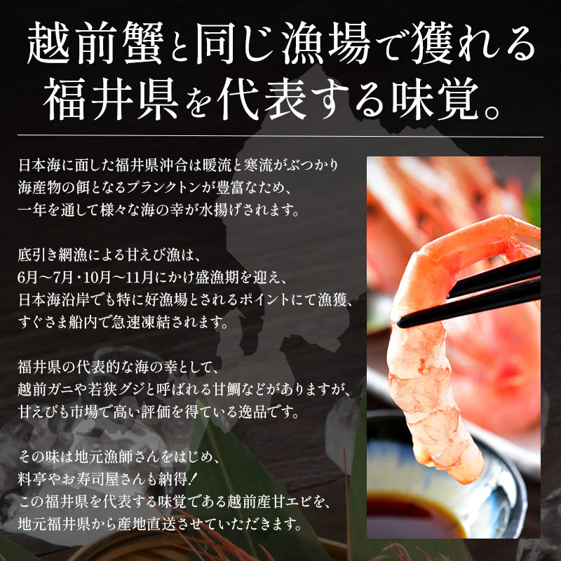 越前産 甘えび 子持ち 大サイズ 500g（40～45尾入り） 甘エビ 刺身用 ［送料無料］ 産地直送 海鮮 エビ セット 海老 大 甘海老 美味しい 大きい えび 冷凍えび 冷凍エビ 食品ギフト ごちそう 贈り物 贈答 母の日 プレゼント ギフト