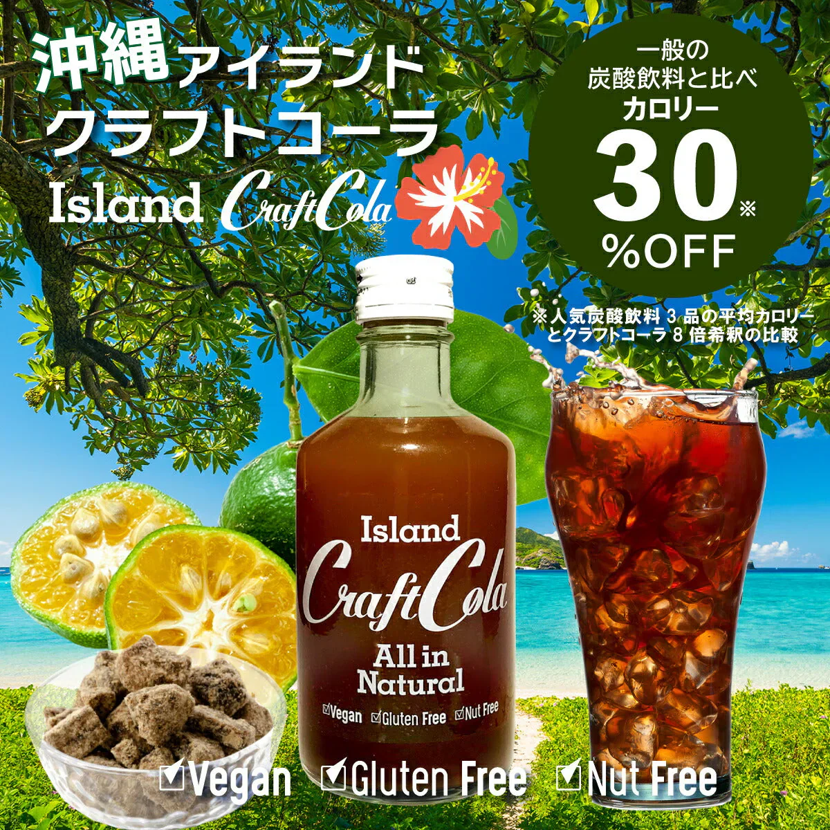アイランド クラフトコーラ 300ml×3本