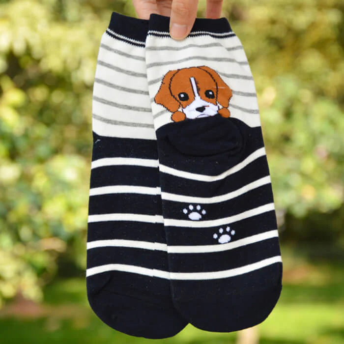 【予約商品・発送時期は商品説明に記載】犬 靴下 6足セット 犬柄 イヌソックス かわいい ボーダー ショートソックス いぬ 靴下 くつ下 ソックス カジュアル 人気 アーガイル 肉球 ランキング 春 夏 秋 冬 女性 レディース 子供 送料無料 ギフト プレゼント