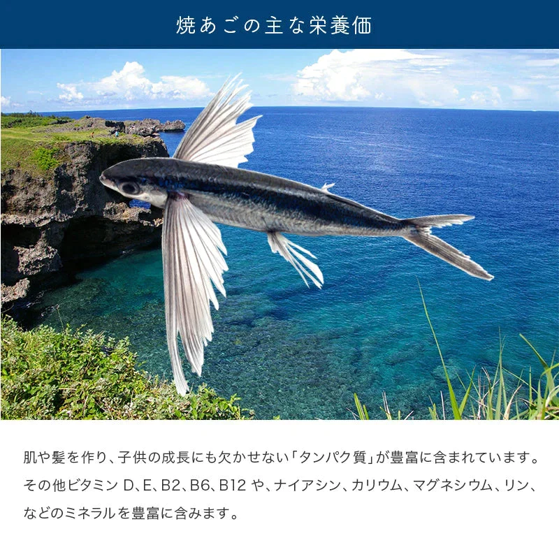 【送料無料】お徳用 焼あご 500g　飛魚　おつまみ　日本酒