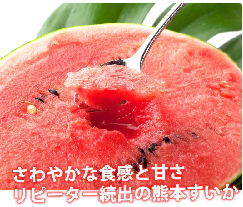すいか 送料無料 訳あり スイカ 大玉すいか 1玉 約4.5kg～6kg M～L 熊本すいか お取り寄せ お取り寄せグルメ 熊本県産 すいか 西瓜 フルーツ